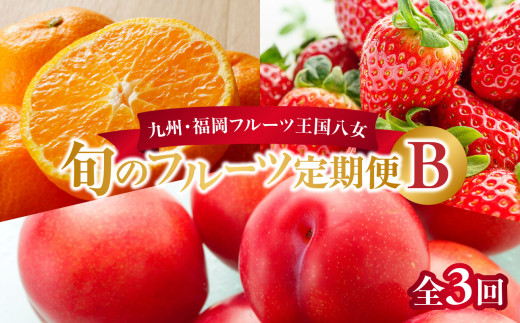 九州・福岡フルーツ王国八女　旬のフルーツ定期便【全３回】 B｜＜配送不可：北海道・沖縄・離島＞ あまおう いちご 苺 イチゴ すもも みかん ミカン フルーツ 果物 くだもの 人気 旬 デザート 福岡県産 アフター補償 産地直送 福岡県 八女市