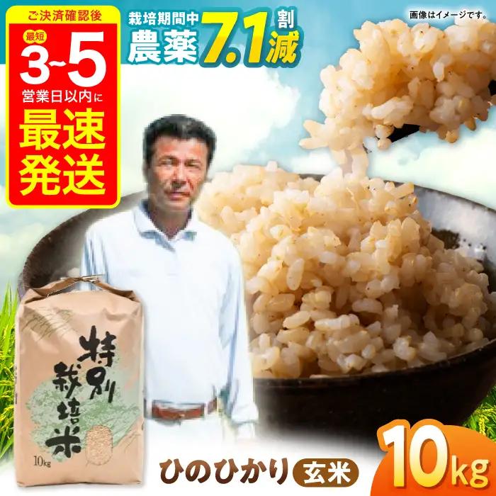 【R7年産】ひのひかり 玄米 10kg 玄米 AHAS004
