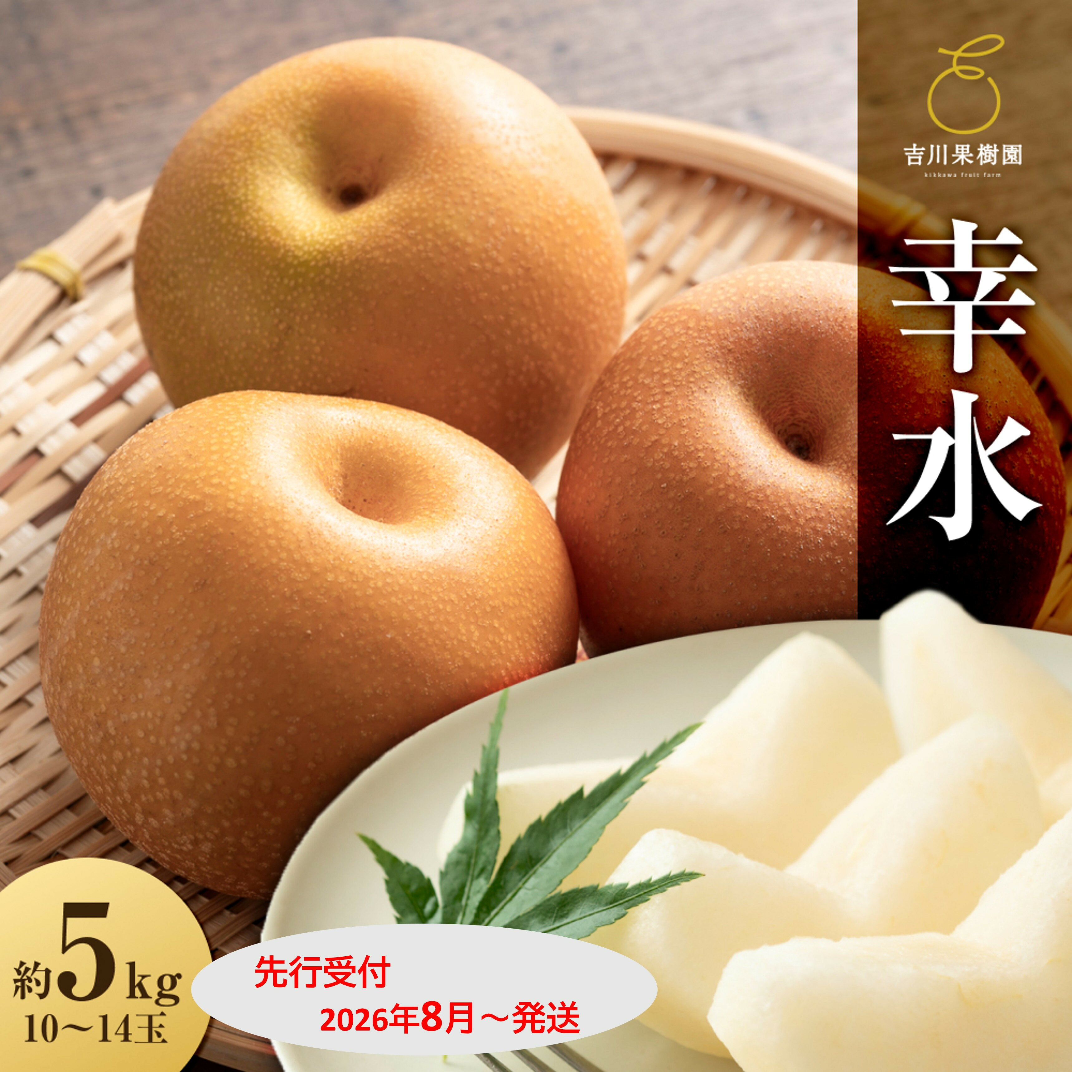 【ふるさと納税】【2026年発送分先行予約】幸水 約5kg（10～14玉）8月下旬～順次発送【吉川果樹園】 | フルーツ 果物 くだもの 食品 人気 おすすめ 送料無料