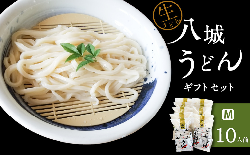 【思いやり型返礼品】八城うどん ギフトセットM 生うどん スープ付 10袋