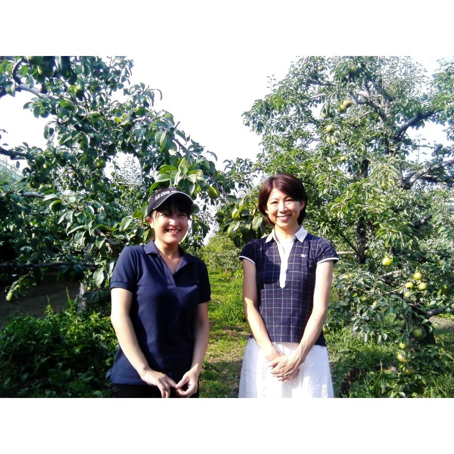 ＜フルーティアファーム　洋梨畑＞長野県産ラフランス2kg