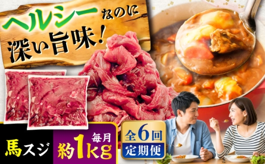 【全6回定期便】馬スジ 約1kg (約500g×2パック) / 馬肉 ばにく 馬 肉 スジ すじ 馬すじ ヘルシー ばにく 小分け こま切れ スジ肉 熊本県 菊陽町【五右衛門フーズ】 [BHCY043]