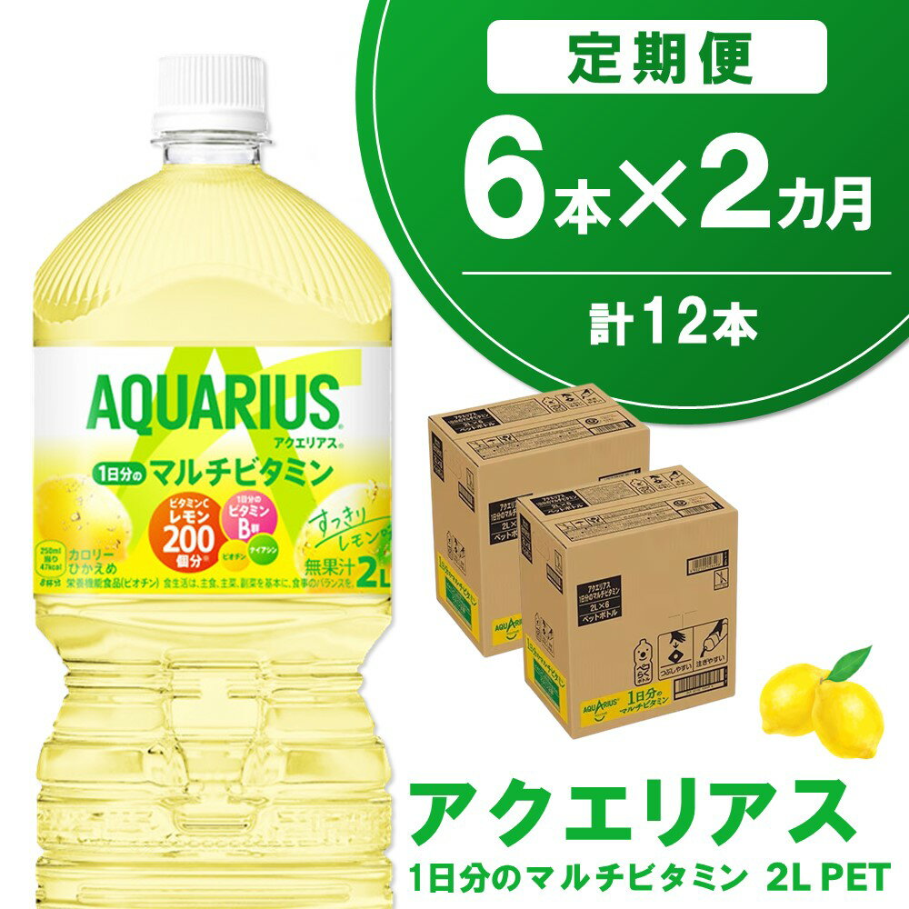 【ふるさと納税】【2か月定期便】アクエリアス 1日分のマルチビタミン PET 2L(6本×2回)【アクエリ スポーツ飲料 夏バテ予防 水分補給 ビタミン補給 ビタミンC ミネラル クエン酸 2L 2リットル ペットボトル ペット スポーツ イベント】A1-R090325