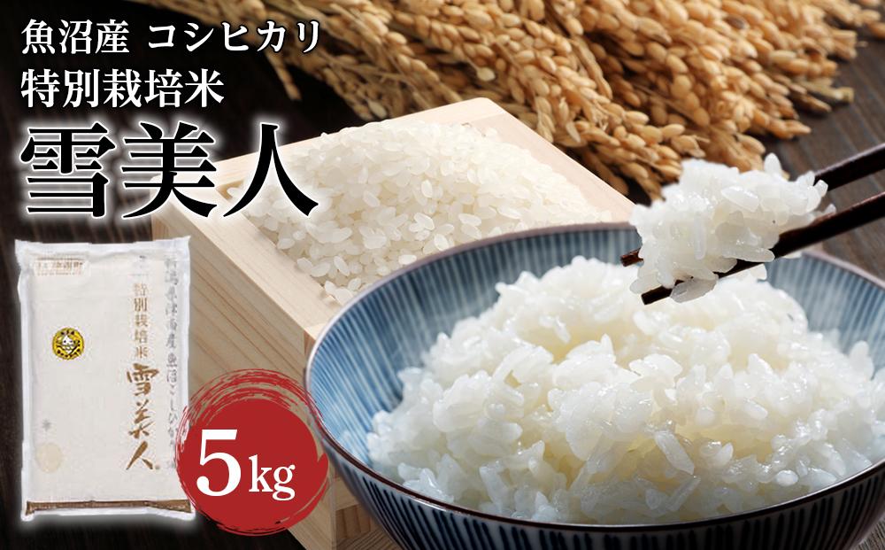 【令和6年産米】 魚沼産コシヒカリ特別栽培米 「雪美人」 （5kg）