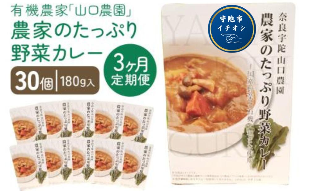 定期便 ３ヶ月 農家のたっぷり野菜カレー ３０個 月１回 ／ 山口農園 有機野菜 オーガニック 伝統野菜 レトルト 詰め合わせ ギフト カレーセット スパイス 飯 キャンプお取り寄せ 奈良県 宇陀市 送料無料 おかず ご当地 簡単 お歳暮 暑中見舞い 時短 保存食 ふるさと納税