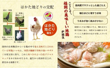 水炊き セット 3～4人前 福岡 限定！はかた地どり 鶏 肉 とり肉 鳥肉 鶏肉 鍋 なべ スープ付き ポン酢 コラーゲン 地鶏 冷凍 贈答品 送料無料 配送不可：離島 