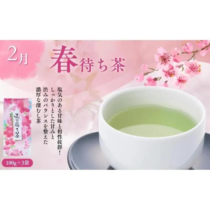 お茶 日本茶 専門店 定期便 おすすめ B お茶