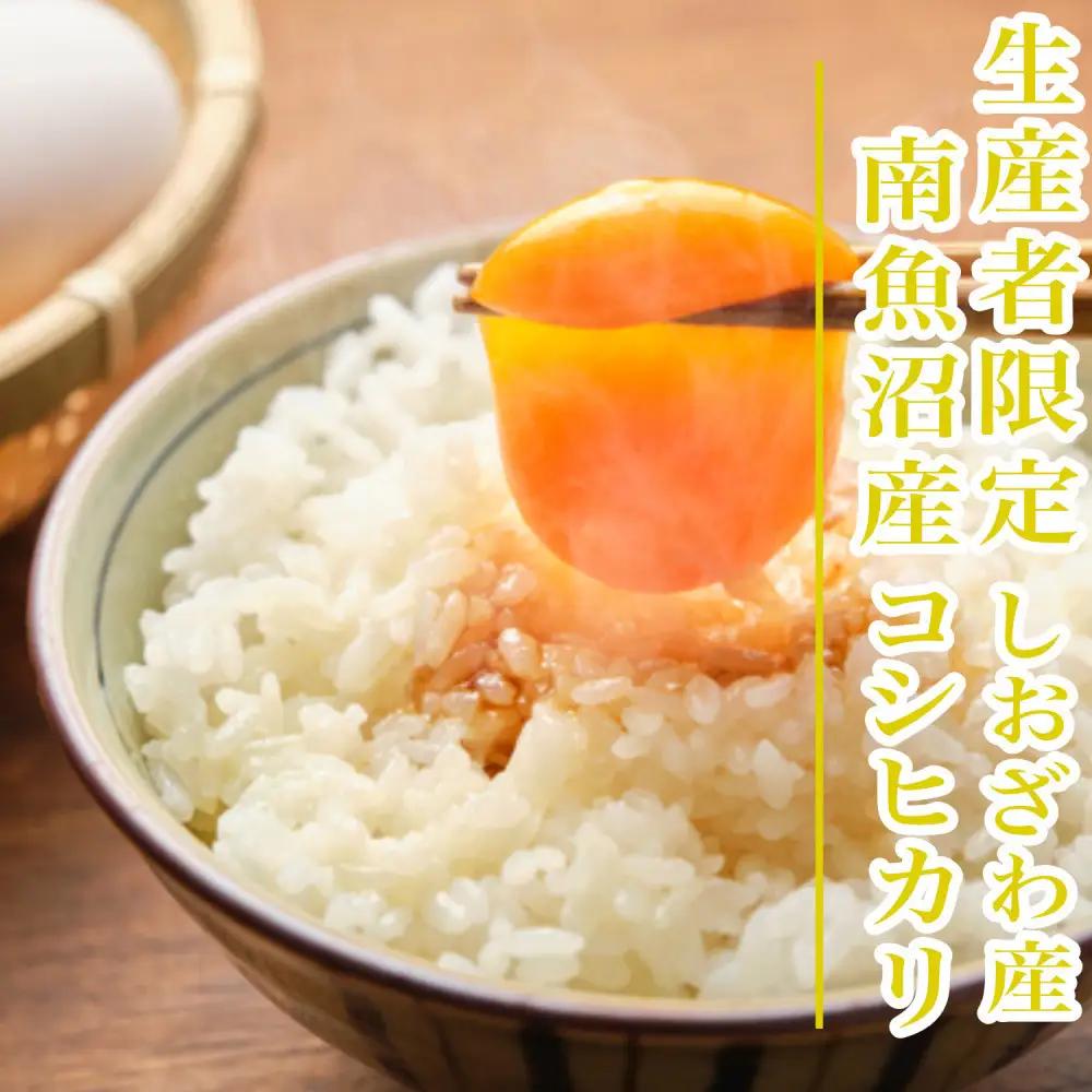 【令和8年産　新米予約】【1Kg】生産者限定／契約栽培 南魚沼しおざわ産コシヒカリ【銘柄米 精米 こしひかり コシヒカリ 魚沼産 新潟米 お米 米 こめ コメ ご飯 御飯 ごはん】【2026年10月上