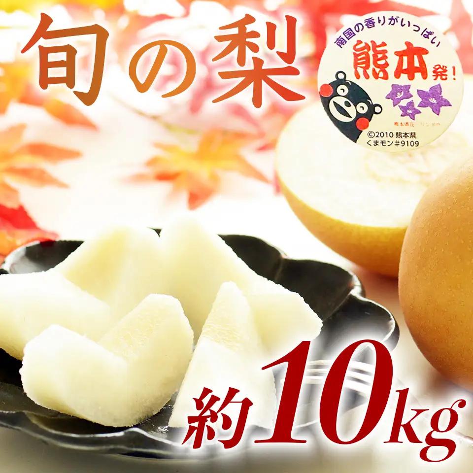 先行予約 旬の梨 品種おまかせ  約10㎏（12～36玉 ）【2026年8月上旬～2026年10月中旬配送予定】
