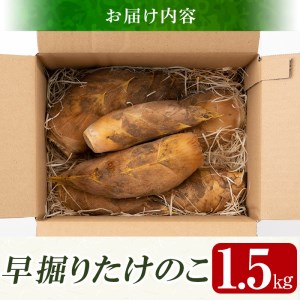 a806 ＜先行予約受付中！2026年12月下旬～2027年2月末の間に発送予定＞数量限定！早堀り筍(正味約1.5kg)【夢竺山株式会社】姶良市 国産 早堀り たけのこ タケノコ 筍 竹の子
