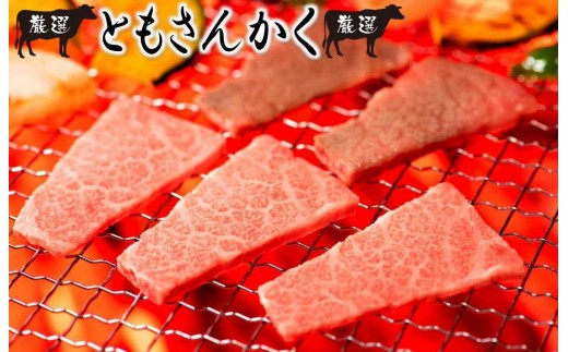 おおいた豊後牛5種厳選部位の焼肉セット1.1kg（1161R）_イメージ3