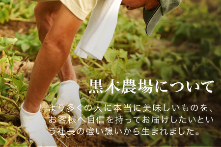 じゃがいも【令和７年産予約受付！】 北あかり10kg  じゃがいも  [010-208]