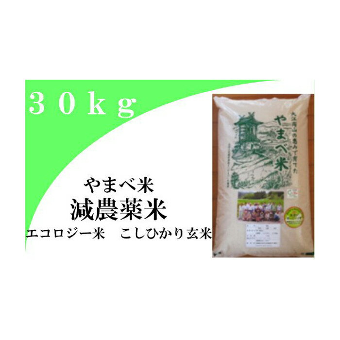 【ふるさと納税】 令和7年産 玄米 減農薬米 こしひかり100％ 30kg コシヒカリ島根県産 大田市産 米 エコロジー米 令和7年度産 2025年産 エコファーマー認定 減農薬 減化学肥料 ダイエット 健康食 こめ ごはん ご飯 おにぎり おむすび お弁当