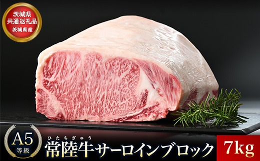 【茨城県共通返礼品】茨城県産 常陸牛A5サーロインブロック7kg