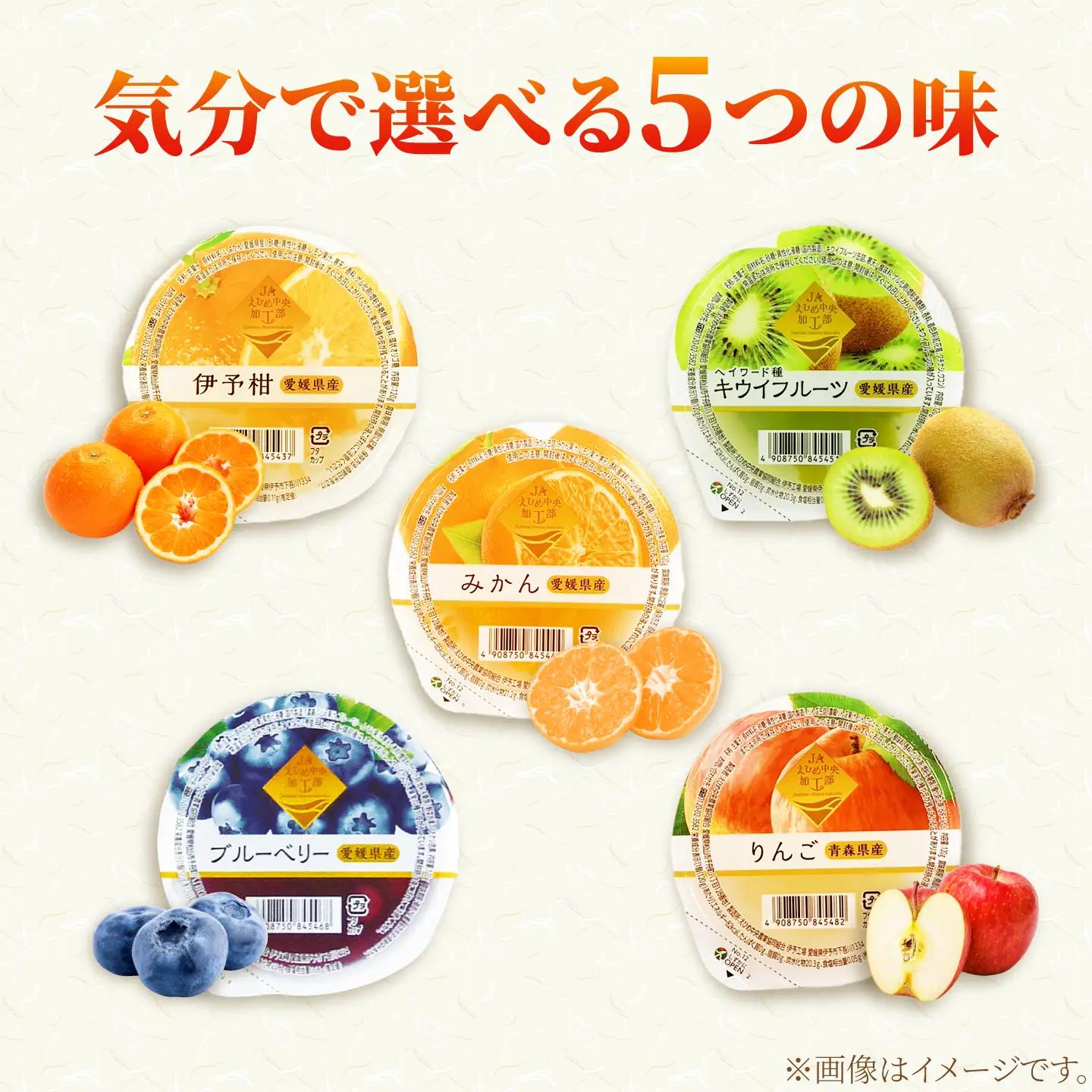 ゼリー カップゼリーまるごと果樹園詰め合わせ 5種12個セット( 伊予柑 みかん りんご キウイフルーツ ブルーベリー )/ 柑橘 ゼリー 果肉 果実 果汁 果物 フルーツ 国産 愛媛県産 スイーツ 