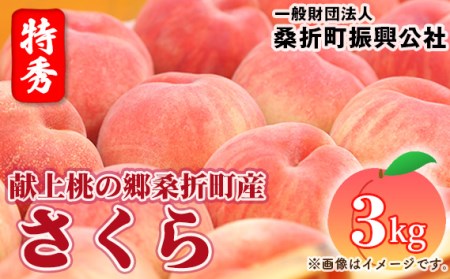 No.187 もも【さくら白桃・2026年産先行受付】特秀3kg（8～11玉）桑折町振興公社　桃 ／ モモ 果物 くだもの フルーツ 甘味 果汁 ジューシー 桑折 こおり こおりまち 福島県 特産品