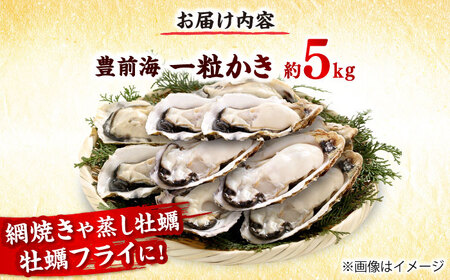 【2026年1月中旬より順次発送】 豊前海 一粒かき 約5kg 吉富町/南水産[BGBD003]