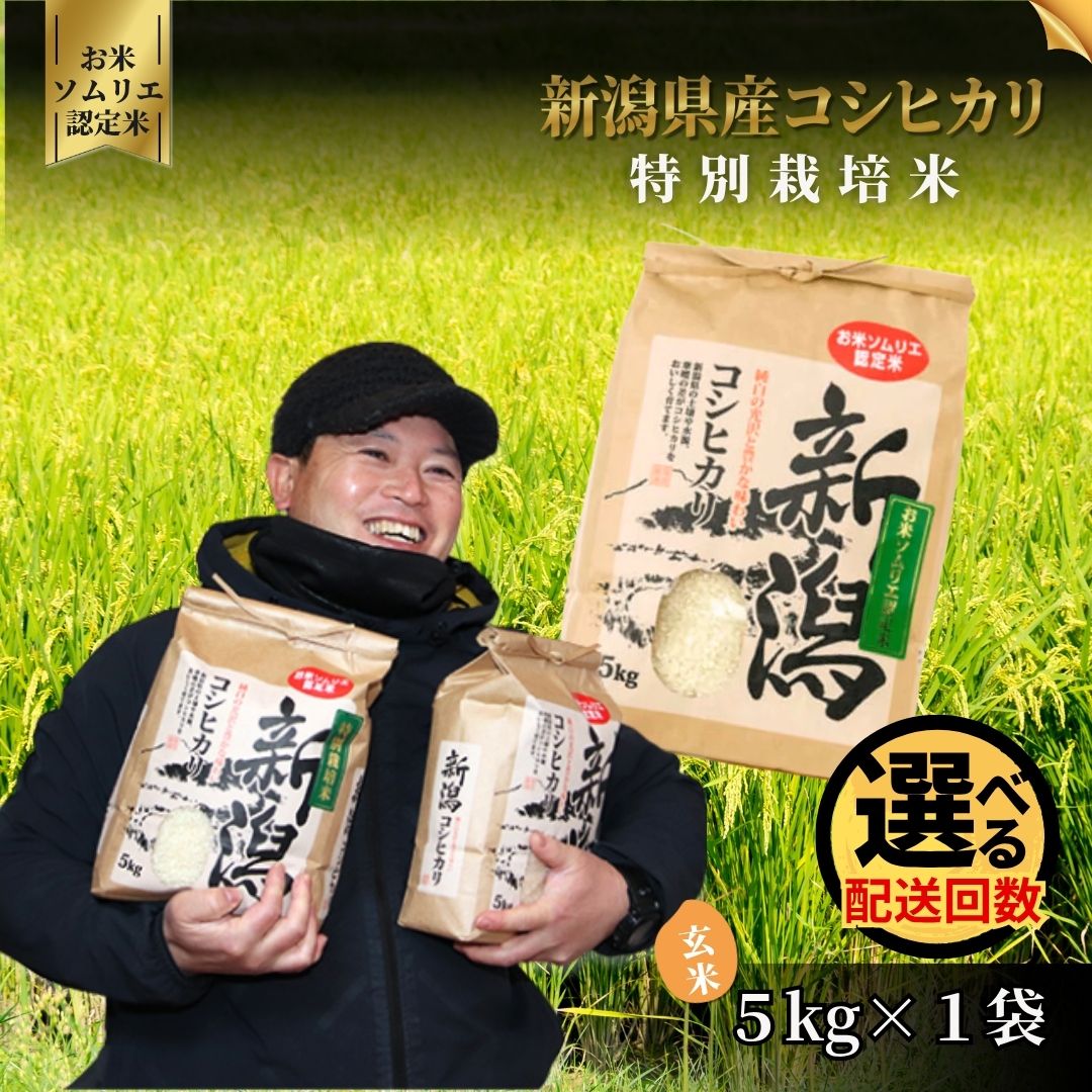 【ふるさと納税】 令和7年産 新米 玄米 5kg 五泉市産 コシヒカリ 特別栽培米 お米ソムリエのお米 | げんまい こしひかり おこめ 新潟県 五泉市 エバーグリーン農場