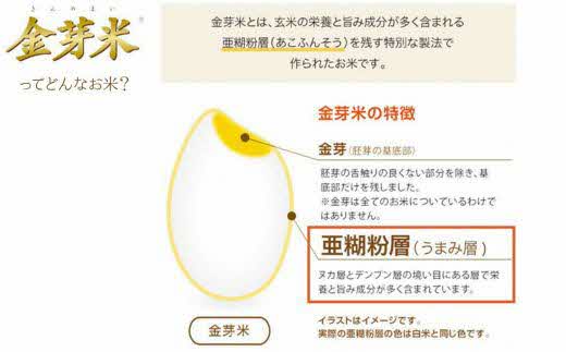BG無洗米・金芽米つや姫 2kg 令和6年産