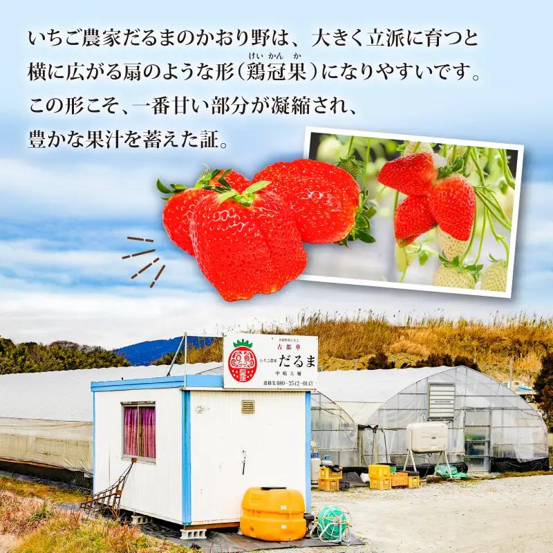 【2027年1月～発送予定】いちご かおり野 約270g×2パック drm005