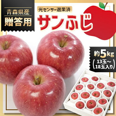 【ふるさと納税】青森県産りんご「サンふじ」贈答用　約5kg【1635386】