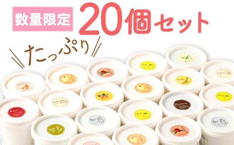 
            【おまかせ】手造りジェラート・シャーベット20個セット |  アイス アイスクリーム 人気 家庭用 アイスクリン 人気返礼品 ふるさと納税 ふるさと人気 生乳 アイス 贅沢 デザート スイーツ 菓子 数量限定 高知県 室戸市
          