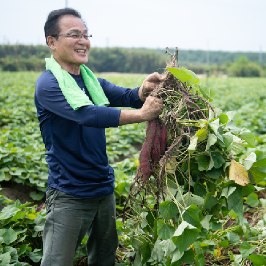 ＜まるととづか＞まるとの干しいも・芋菓子セット　べにはるか角切り×2、平切り×2　各160ｇ/安納芋菓子×1、恋いもグラッセ×1　各100ｇ