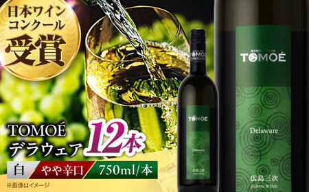 白ワイン TOMOE デラウェア 白 やや辛口 750ml×12本 受賞 [APAZ092] 白ワイン