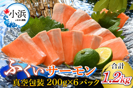 国産 ふくいサーモン 200g × 6パック 計1.2kg  刺身 サケ 鮭 [BFAA073] 【配送不可地域：北海道・沖縄・離島】 
