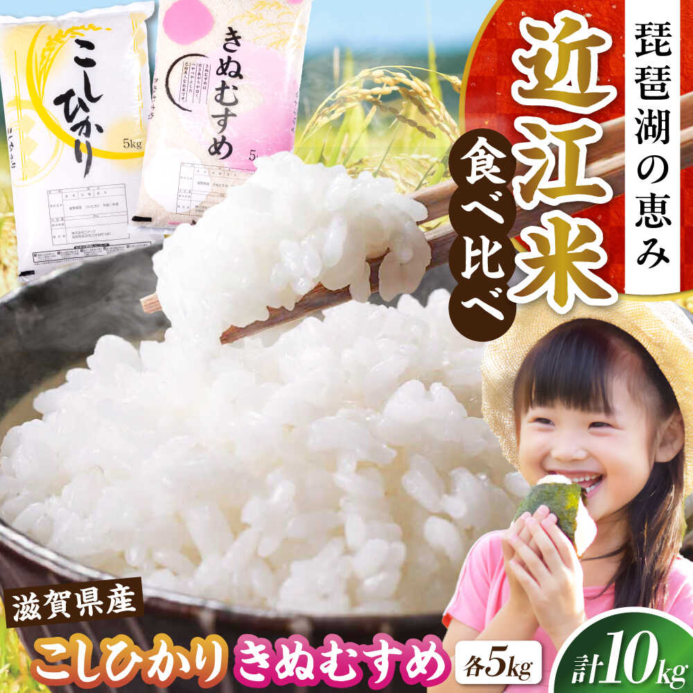 【ふるさと納税】【令和7年産新米】コシヒカリ・きぬむすめ白米食べ比べセット 滋賀県長浜市/株式会社コメック[AQDH007]コシヒカリ きぬむすめ 米 お米 白米 食べ比べ セット 新米 近江米 人気 おすすめ 令和7年 R7 おこめ こしひかり