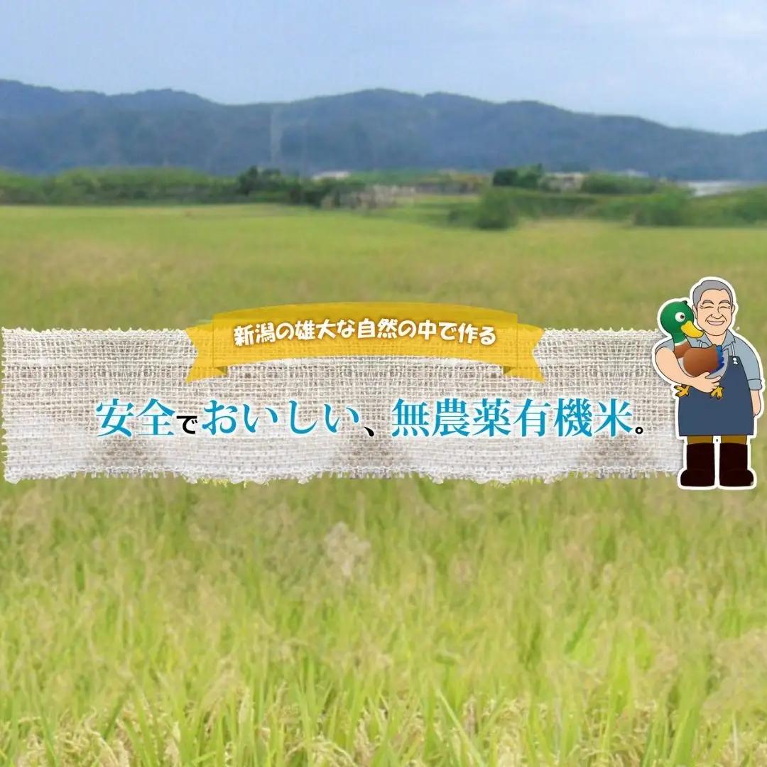 先行予約 特別栽培米 2kg×4種 コシヒカリ 新之助 他 新潟県 三条市 令和8年 精米 佐藤農産有機センター コシヒカリ