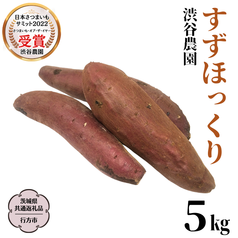 すずほっくり 約5kg 【茨城県共通返礼品／行方市】2024年11月から発送開始 渋谷農園 さつまいも  いも 芋 焼芋 [DT005sa]