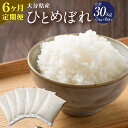 【ふるさと納税】【6ヶ月定期便】大分県産 ひとめぼれ 5kg×6ヶ月定期便 合計30kg 精米 米 お米 白米 精米 九州産 送料無料