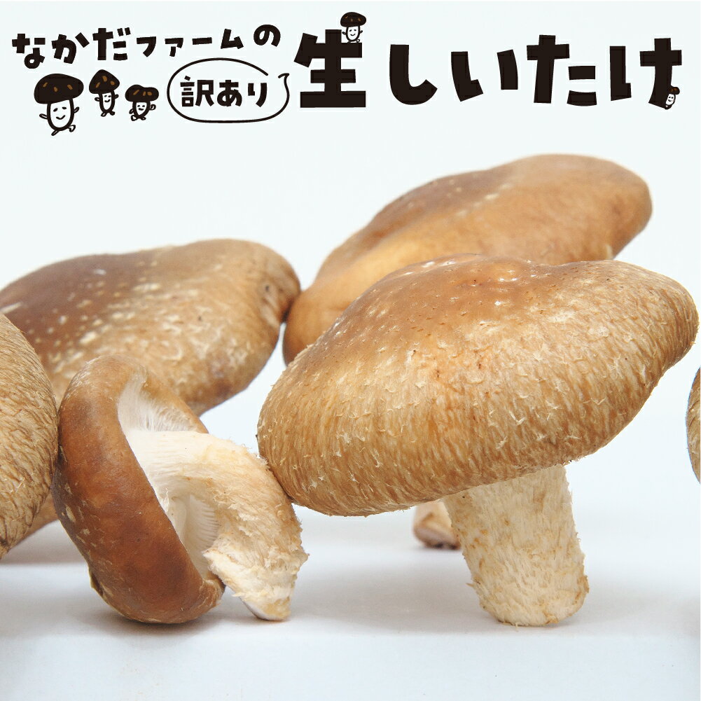 【ふるさと納税】《訳あり》《10月下旬発送開始》なかだファーム 訳あり しいたけ 選べる内容量 約800g（200g×4）約1.5kg（250g×6） 個包装 椎茸 シイタケ 訳アリ わけあり 不揃い キノコ きのこ 茸 料理 ご飯 国産 ［Q1377］8000円 8千円 1万円 10000円