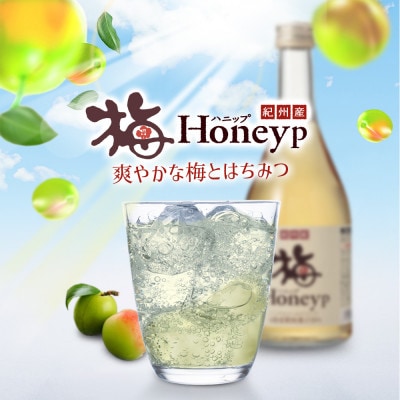 希釈用梅ドリンク　紀州産梅ハニップ 590g 3本セット