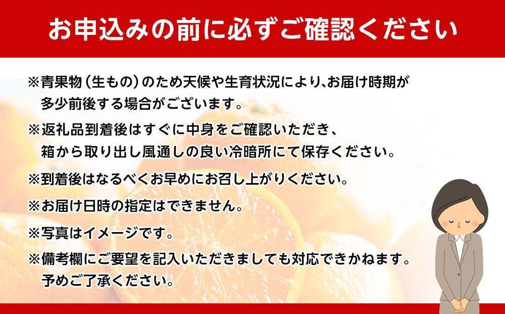 和歌山県産 糖度 12.5度以上 秀品 贈答用 みかん 3kg 3S～L サイズ混合 【MG54】