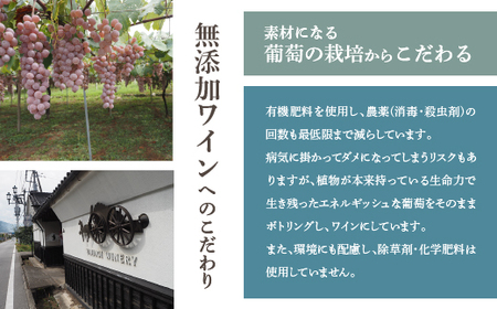 無添加ワイン「甲斐國一宮」赤白ワイン2本セット 014-003