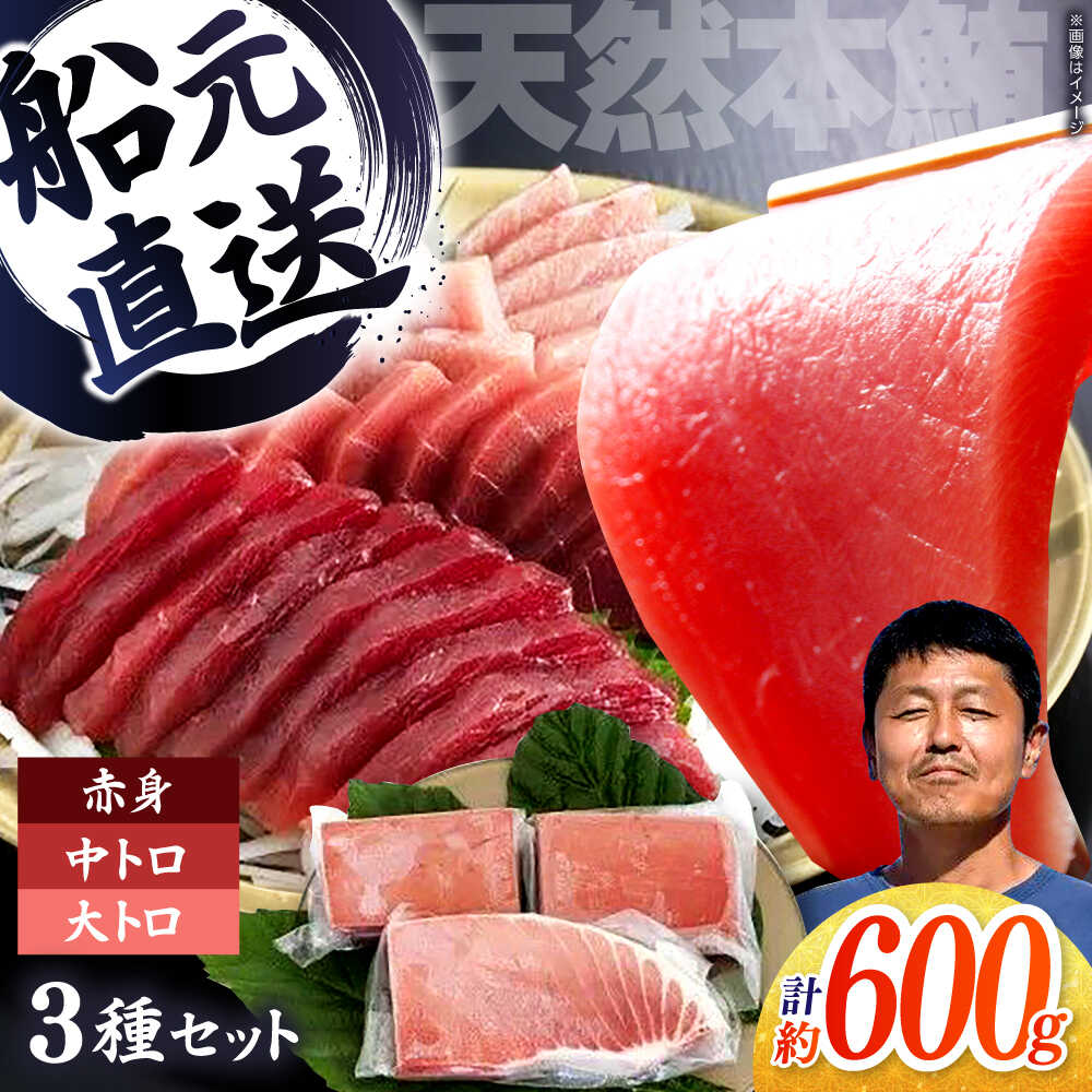 【ふるさと納税】天然本鮪 大トロ 中トロ 赤身 セット（各約200g） / 高知 魚介 海鮮 鮮魚 魚 マグロ まぐろ 鮪 本鮪 新鮮 天然 刺身 寿司 セット 【株式会社Dorago】[ATAM055]