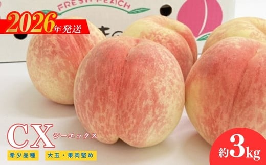 
            No.2580希少品種CX/シ－エックス 約3kg【2026年発送　先行予約】
          