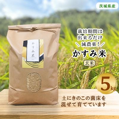 ふるさと納税 潮来市 令和7年産新米　栽培期間出来るだけ農薬を減らして作った「かすみ米」玄米 5kg