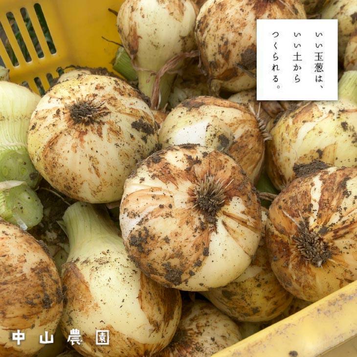 ＼新玉予約／中山さんちから直送　淡路島たまねぎ５㎏◆R8.3月下旬～発送