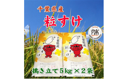 令和8年産 千葉県産粒すけ精米10kg(5kg×2袋)【1576584】