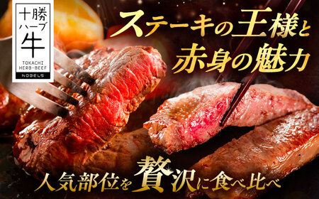 北海道 十勝 ハーブ牛 サーロイン モモ ステーキ セット 500g 《足寄町》【株式会社ノベルズ食品】[BEAQ051]