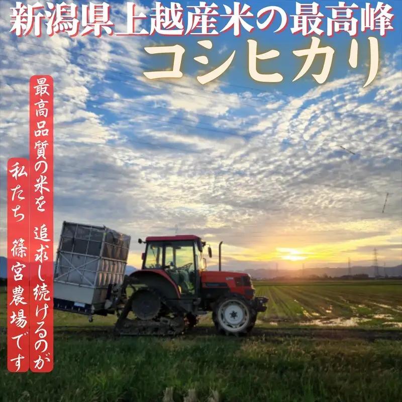 令和8年産【12月中旬配送】 新米 先行予約 新潟県産 コシヒカリ 10kg 最高品質のお米を追求し続ける 篠宮農場 上越市 精米