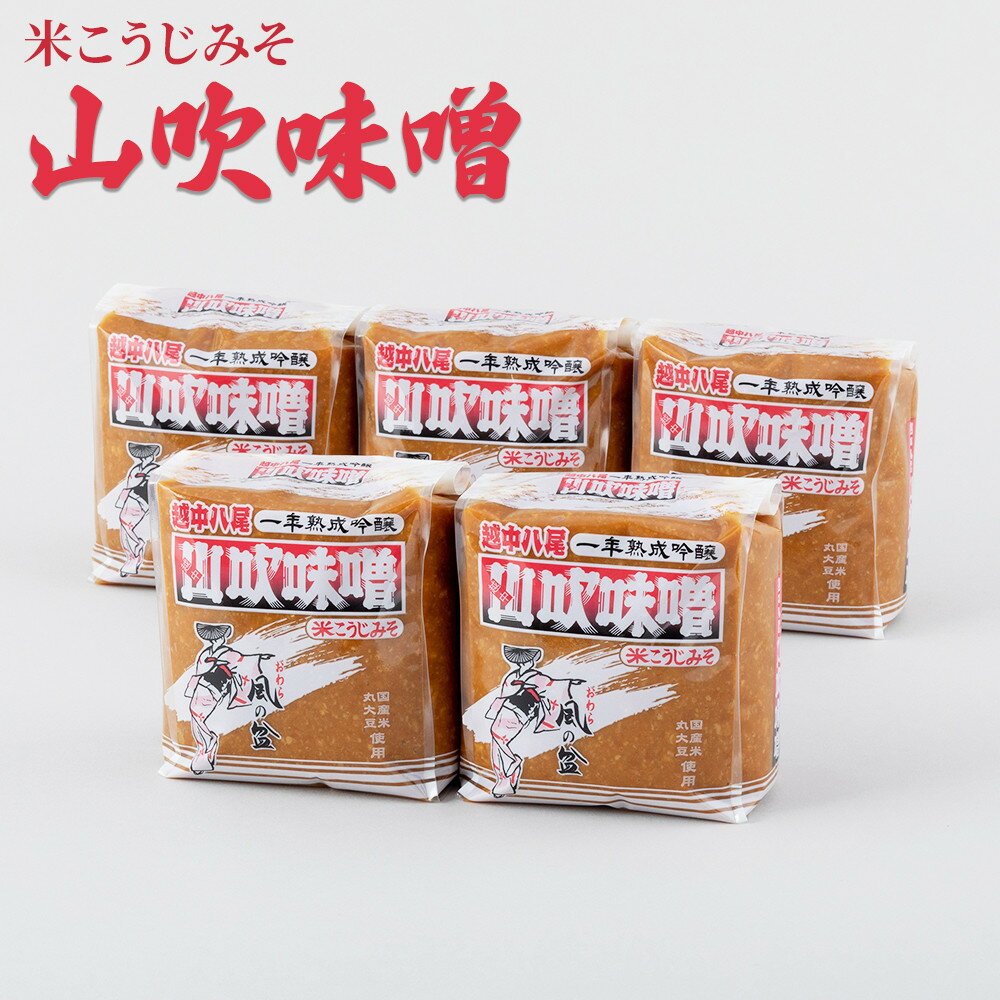 【ふるさと納税】【内容量選択可】越中山吹味噌 1kg入り 5個又は10個 | 調味料 味噌 加工食品 発酵 富山市 越中山吹 味噌汁 和食 調理 調味料 おみそ 自然食品 自家製味噌 手作り味噌 人気 おすすめ 送料無料