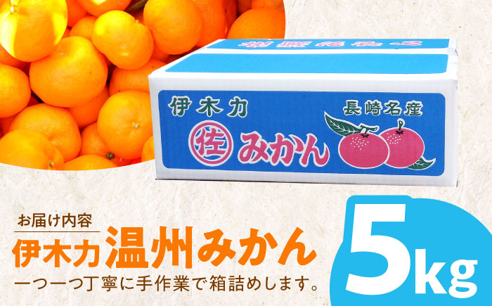 【ANA限定】※【2027年1月より順次発送／先行予約】伊木力温州みかん5kg(ご家庭用、箱入り)  末永果樹園 [AHBD003]