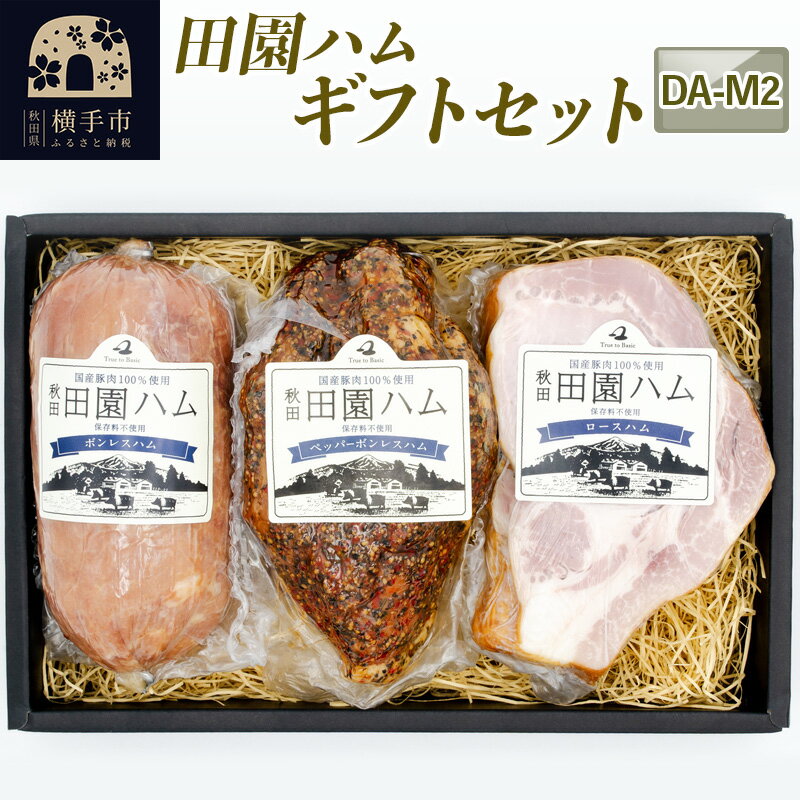 【ふるさと納税】＜お中元 ギフト＞田園ハム ギフトセット【DA-M2】