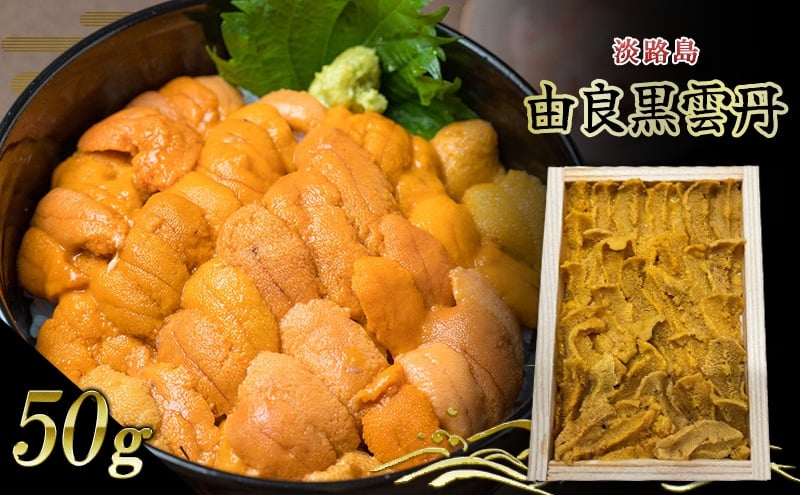 
                  淡路島　由良黒雲丹　1枚 兵庫県 洲本市 淡路島[№5395-0515]
                