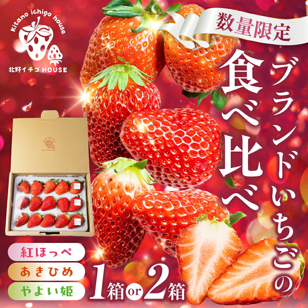 【ふるさと納税】3種のイチゴ食べ比べセット 紅ほっぺ あきひめ やよい姫 章姫 1パック 2パック 北野イチゴHOUSE いちご イチゴ 苺 ブランド 甘い 美味しい おススメ 人気 旬 フルーツ 果物 贈答 ギフト 1箱 2箱 セット 1万円 10000円 食べ比べ プレゼント 愛知県 豊橋市