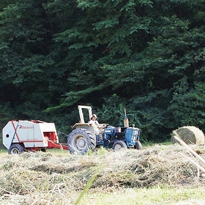広島産黒毛和牛「見浦牛」の焼肉希少部位セット(ミスジ＆カイノミ/280g)【配送不可地域：離島】【1044608】
